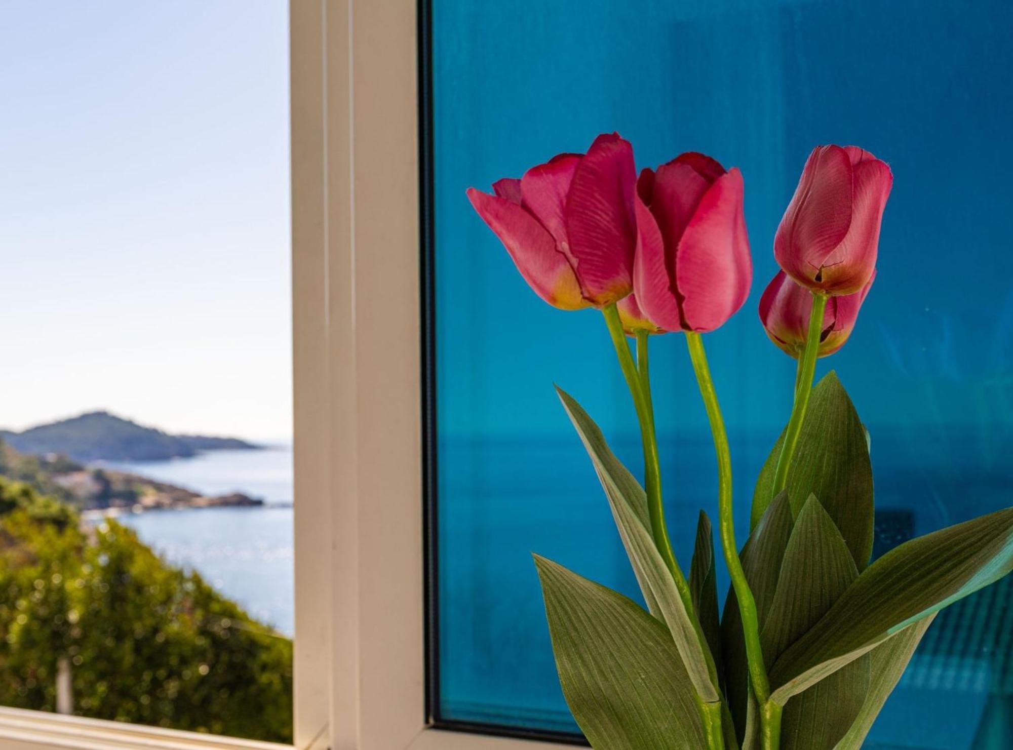 Apartment Butterfly Dubrovnik Bagian luar foto